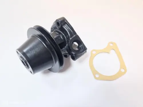 Waterpomp Volvo Amazon 444 544 210 418031 B16
