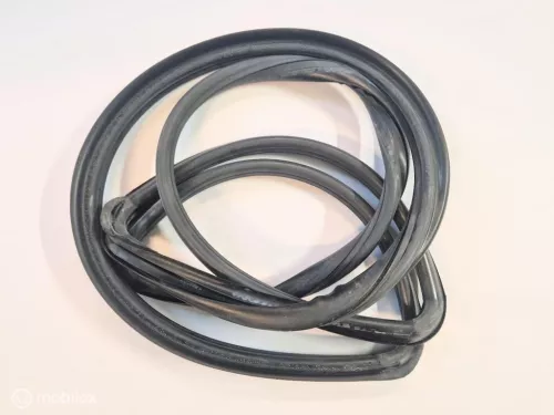 Raamrubber voorruit Volvo 142 144 145 164 681882